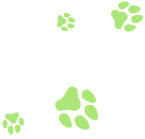 services_paws_bottom