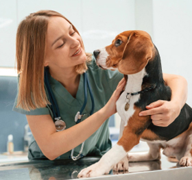 welcome_to_petland_image_02