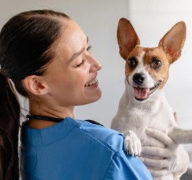welcome_to_petland_image_03